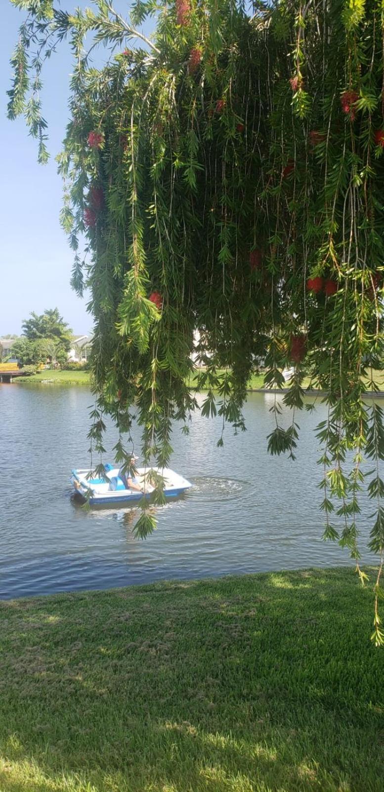 Appartamento Near Clearwater And Tarpon Spring With Water View Holiday Esterno foto
