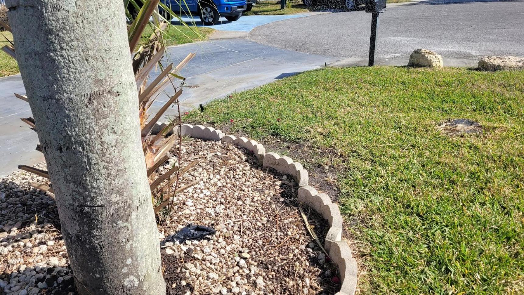 Appartamento Near Clearwater And Tarpon Spring With Water View Holiday Esterno foto